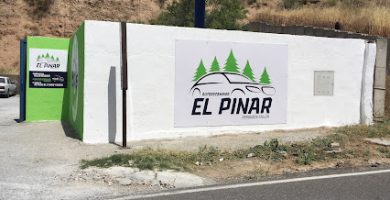 Desguaces El Pinar