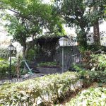 Huerto de Las Flores - Jardín Botánico de Agaete