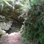 Cueva El Pendo